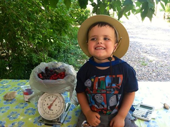 BerryPickin
