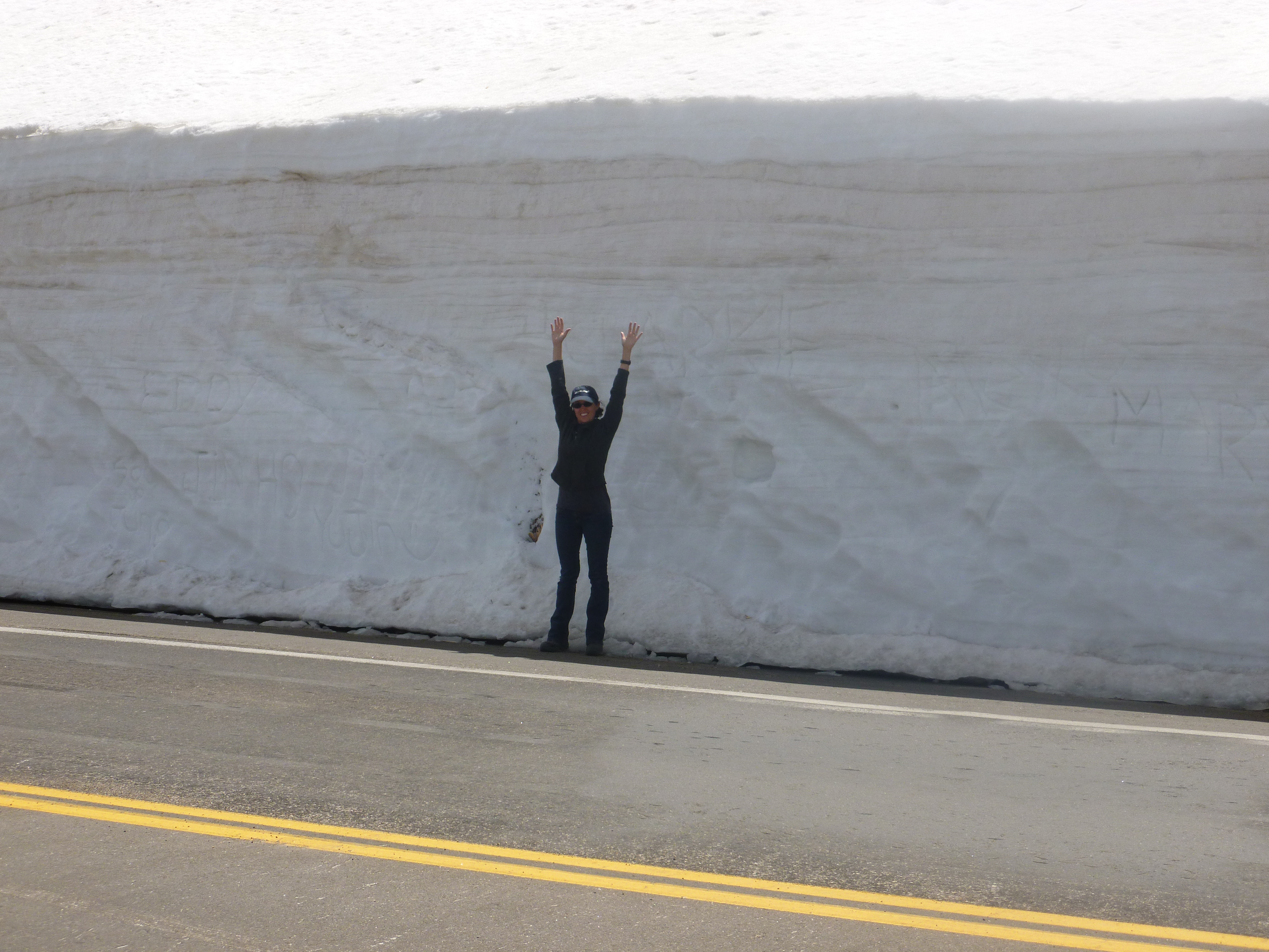SnowWall