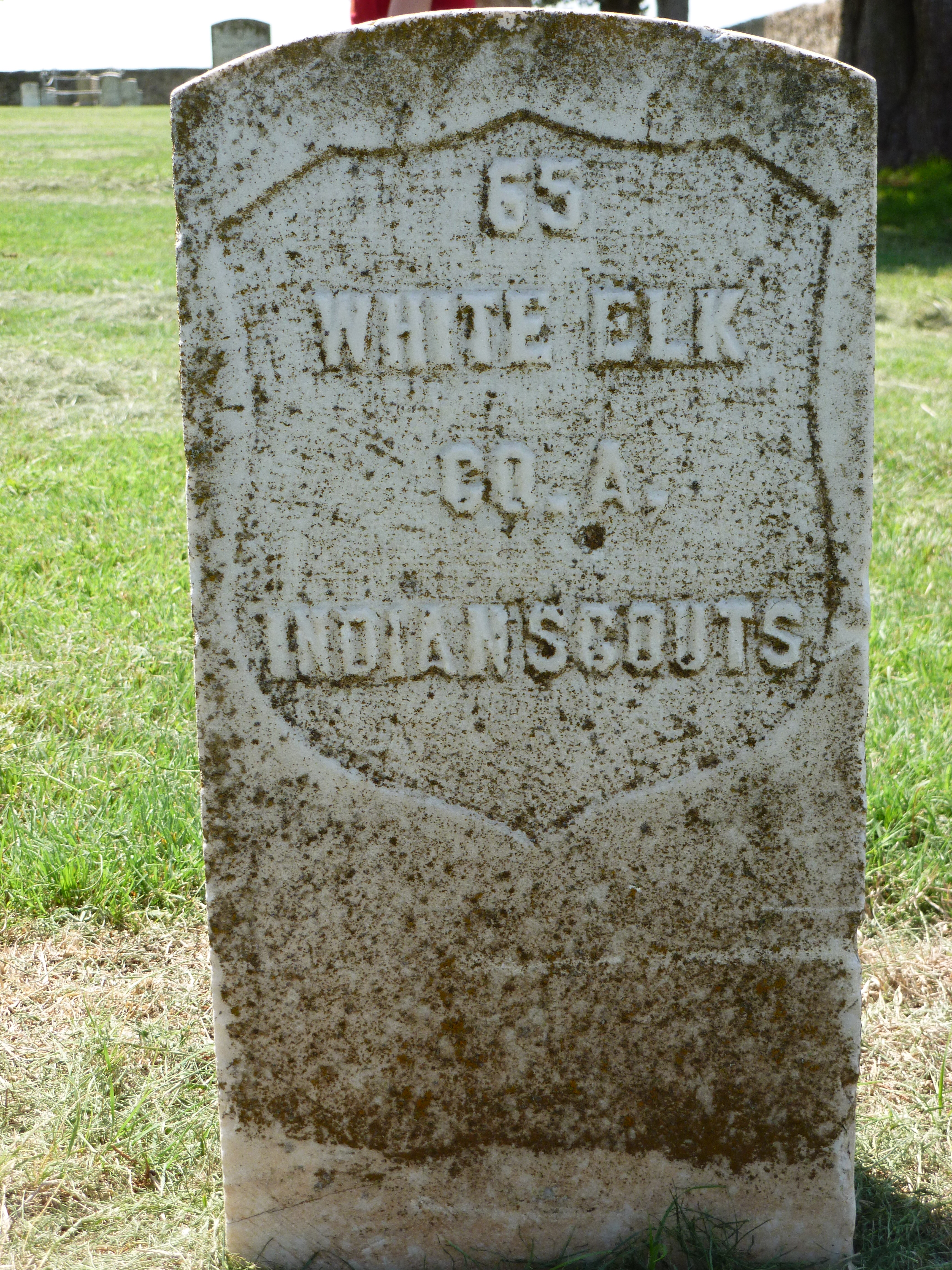 IndianScout