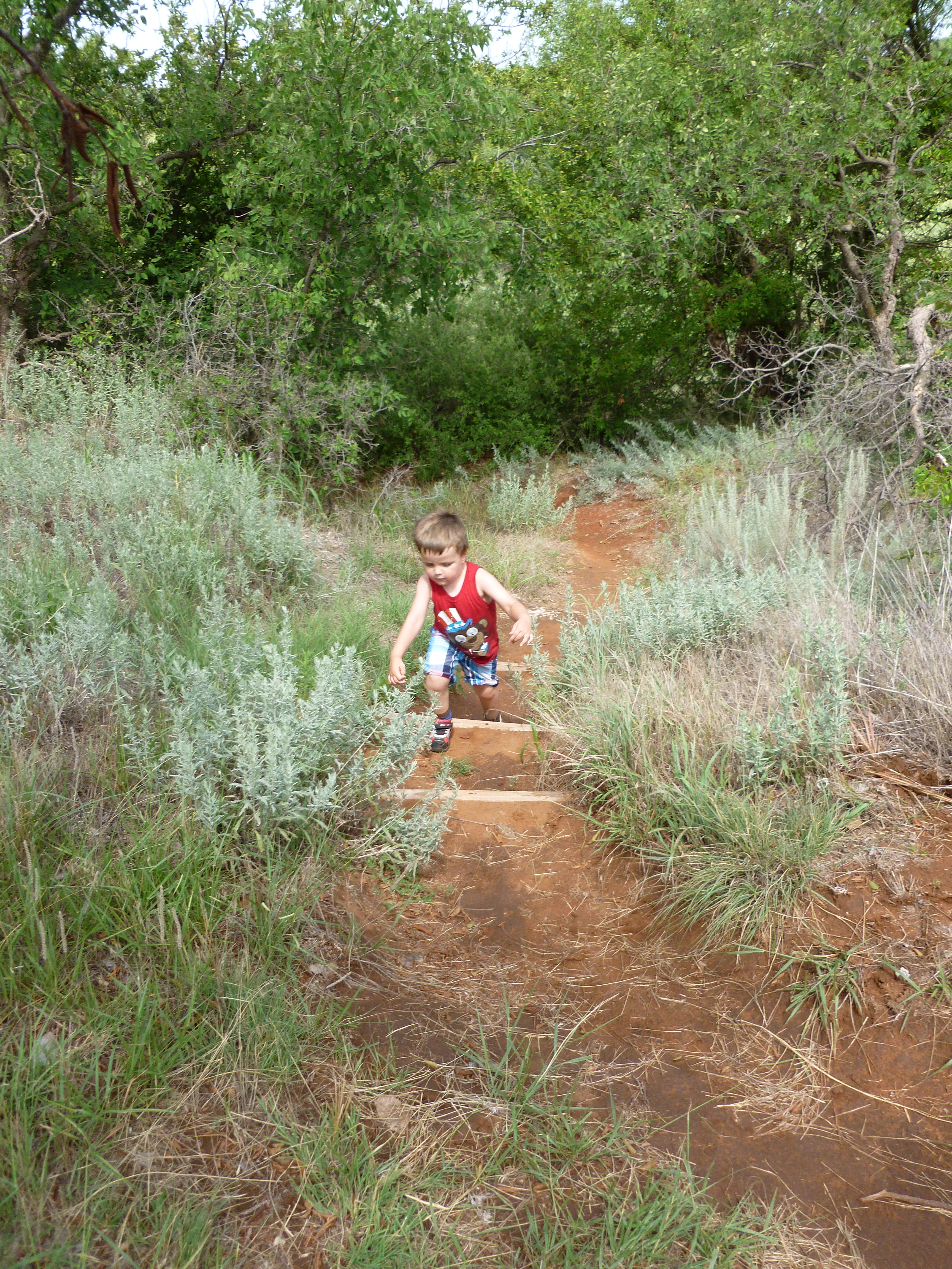 LoganOnTrail