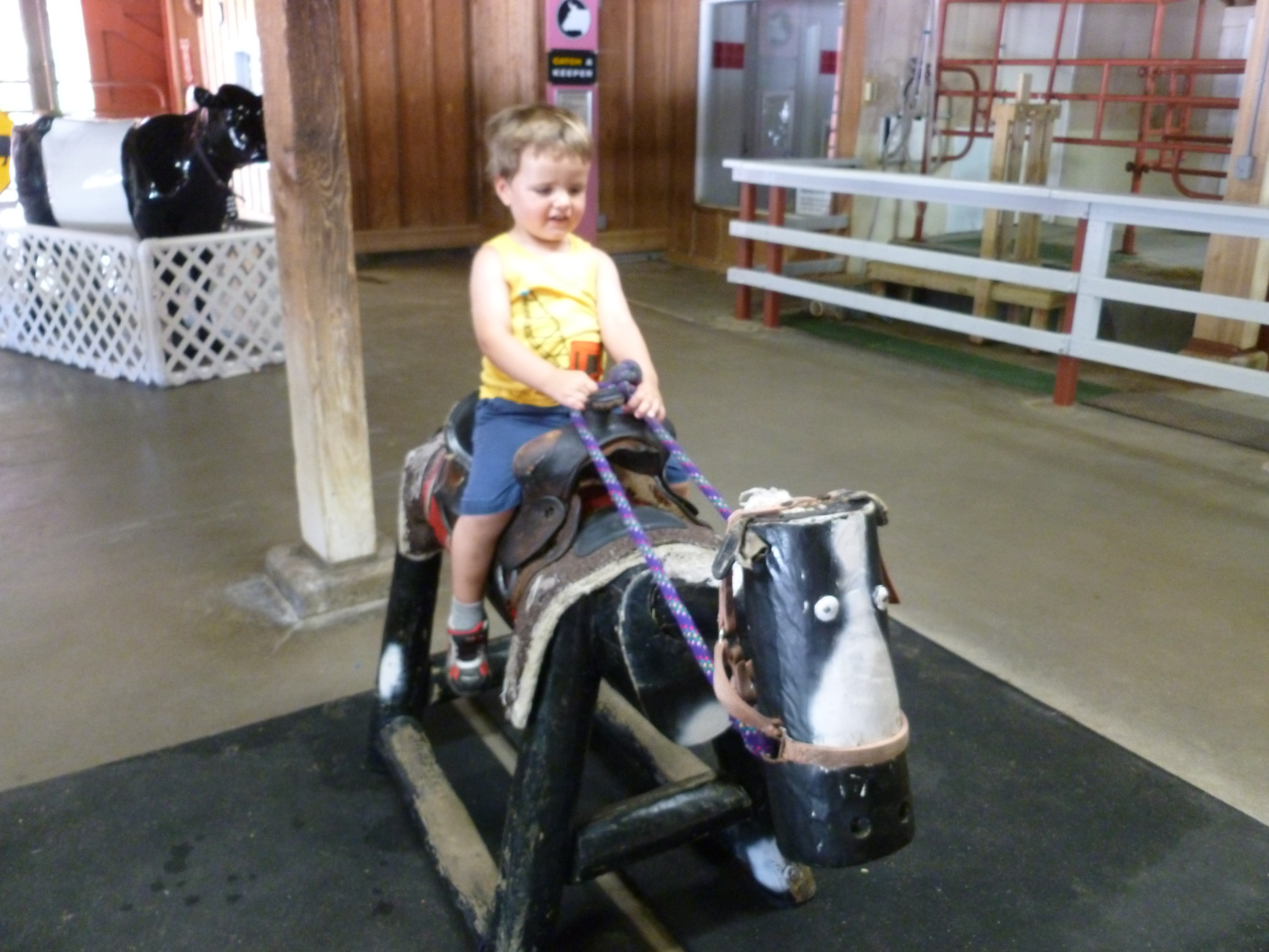 Ride ‘Em Logan