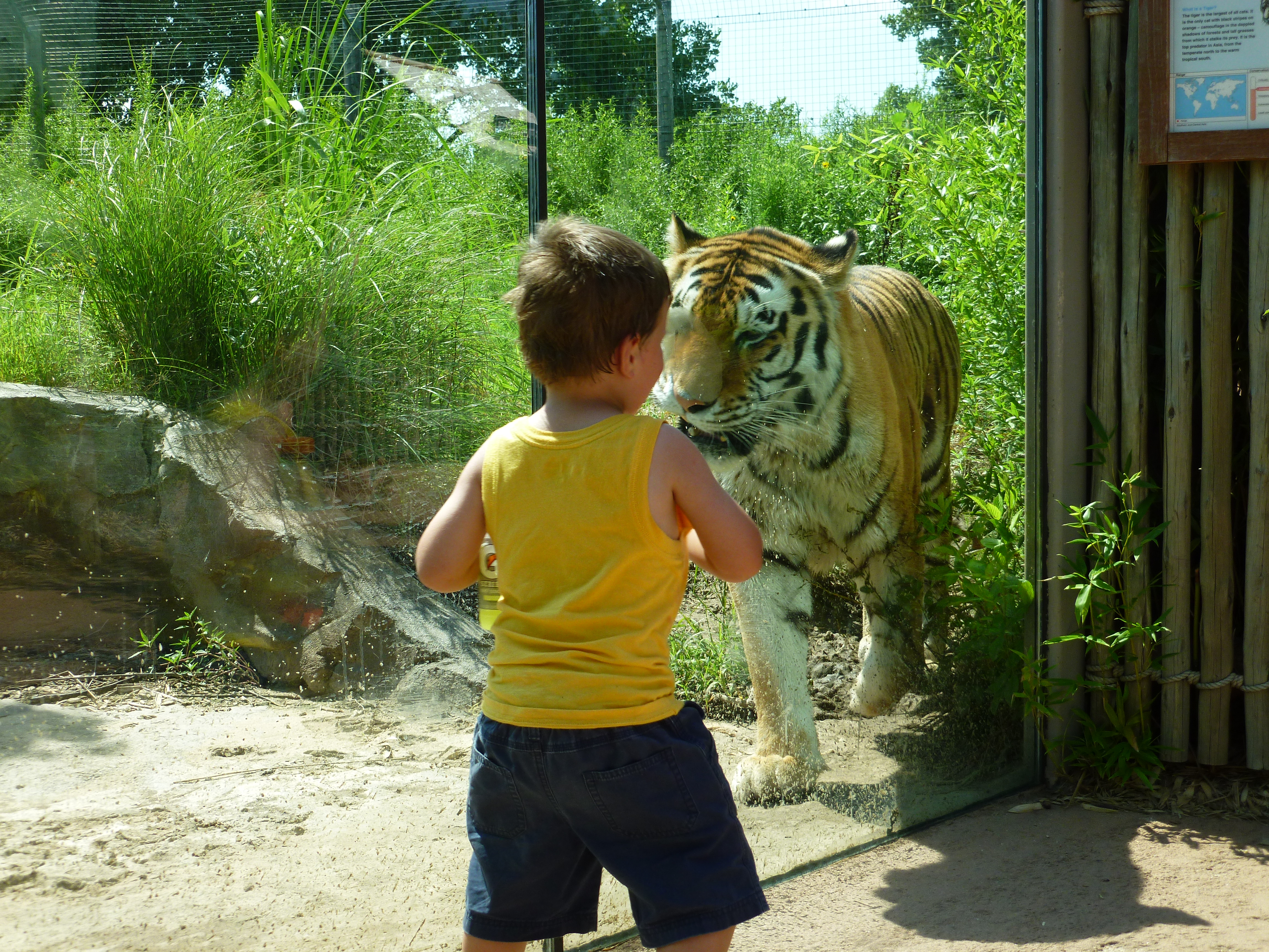 Logan v Tiger